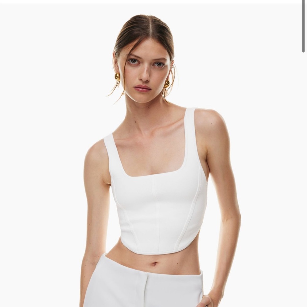 ARITZIA SCULPT KNIT BUSTIER TANK